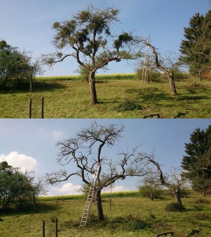VorherNachher
