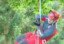 baumpflege04